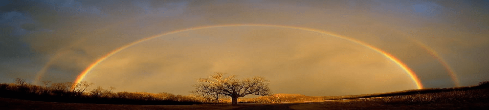 boundless blessings abound, double rainbow and the tree of life all reflecting the promises of God