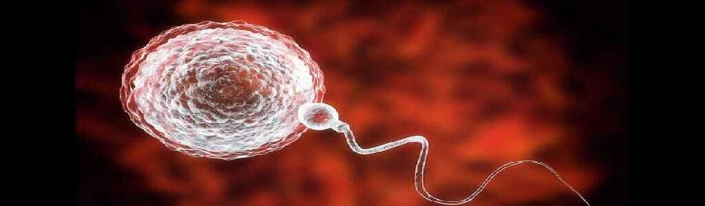 Fertility Breakthrough: Top Way to Overcome Infertility