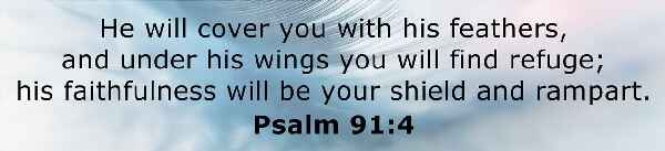 Bible passage Psalm 91:4