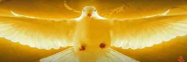 Dove descending with fiery glow, symbolizing divine intervention